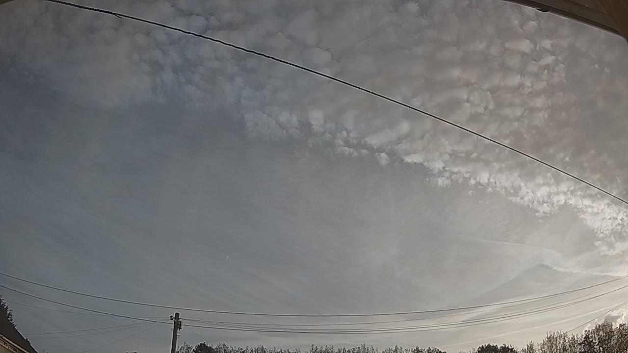 20260825_061121_cam2.jpg