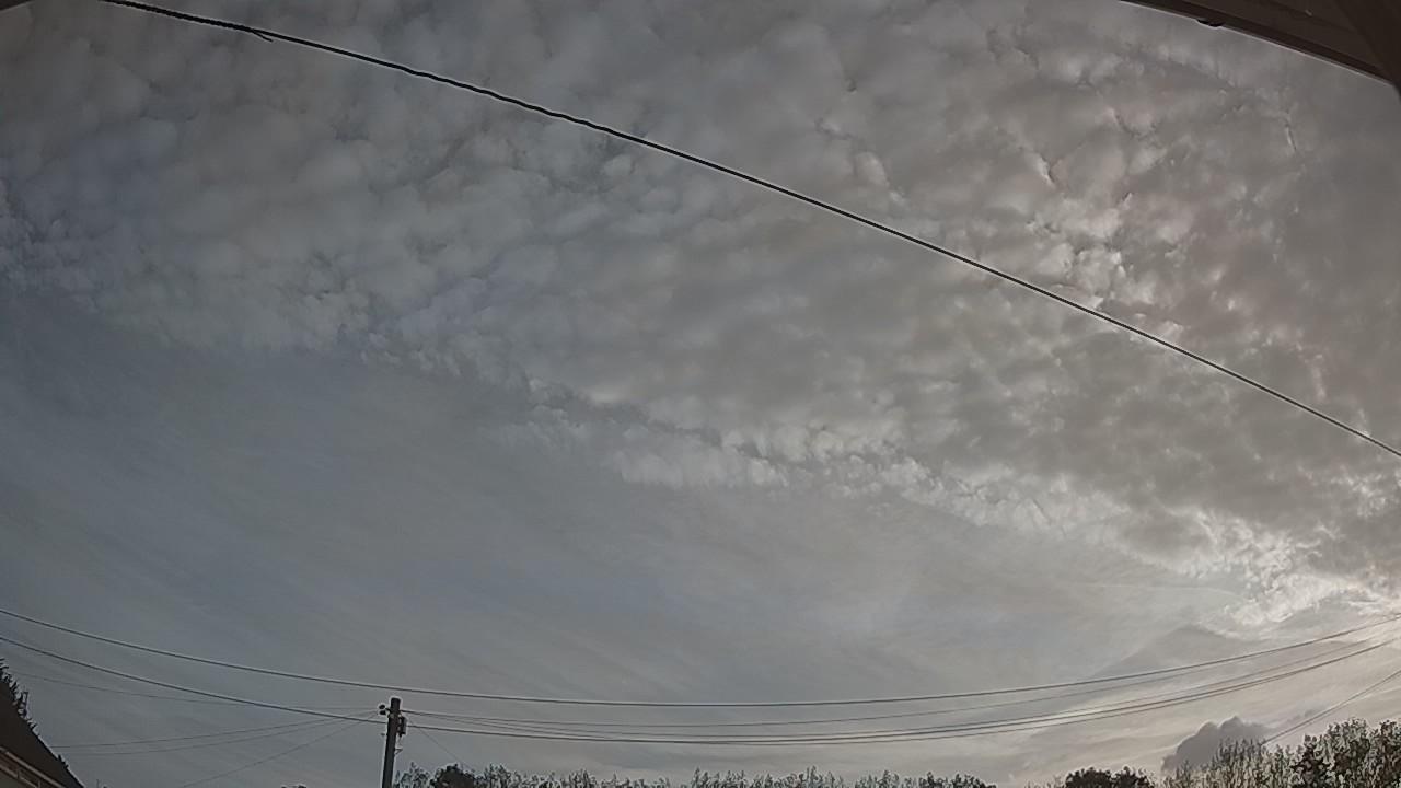 20260825_061529_cam2.jpg