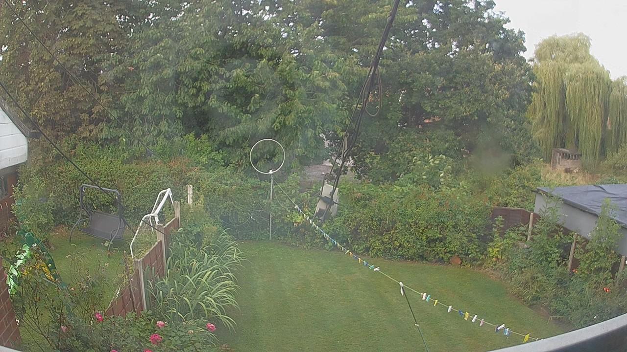 20260825_061937_cam1.jpg