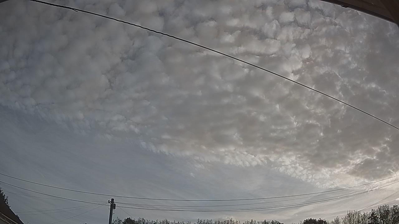 20260825_061938_cam2.jpg