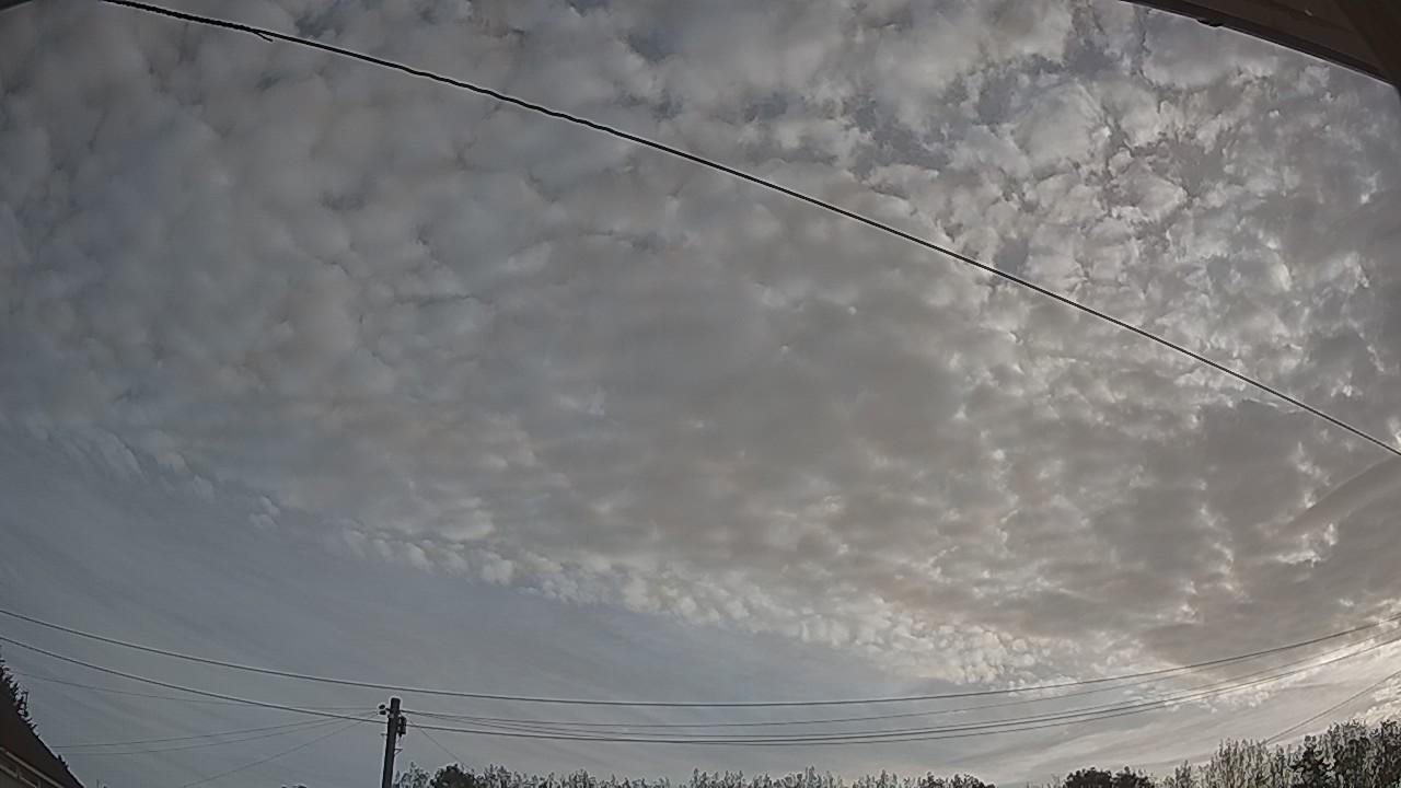 20260825_062347_cam2.jpg