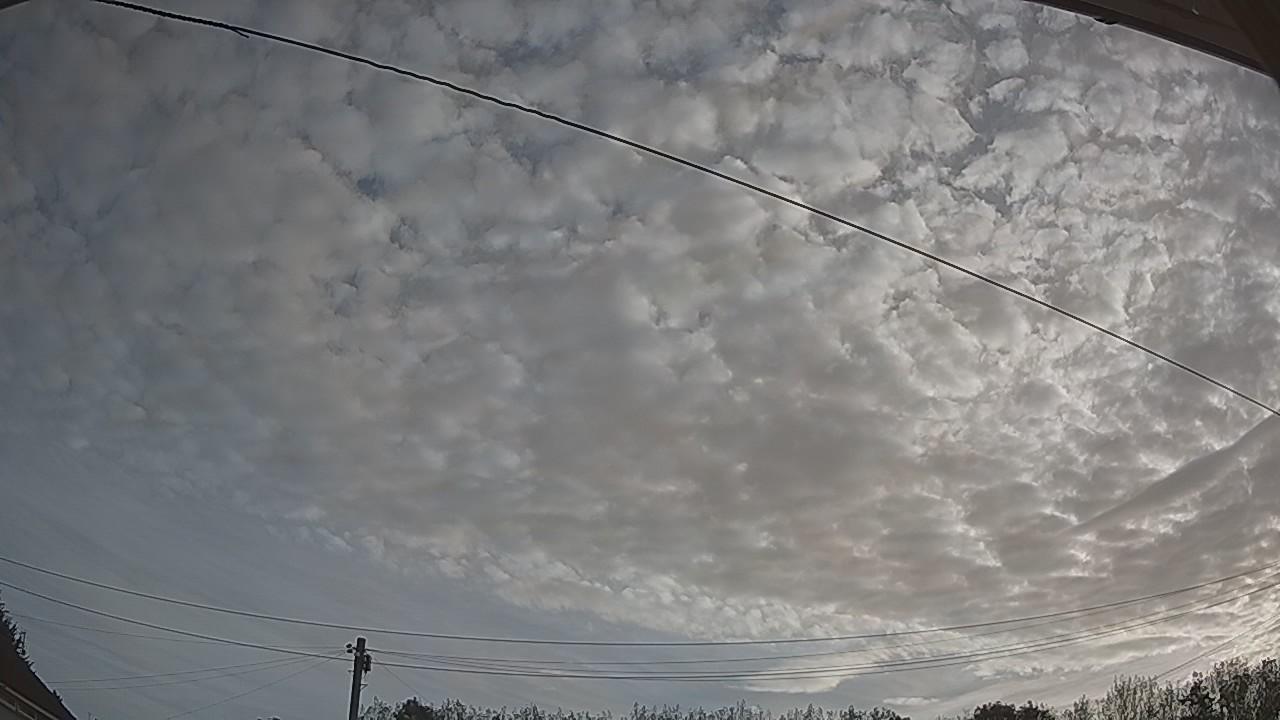 20260825_062755_cam2.jpg