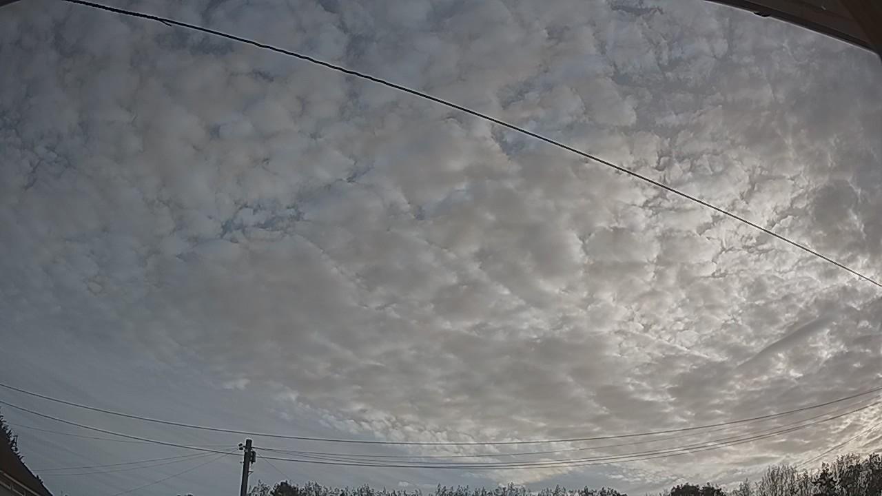 20260825_063155_cam2.jpg