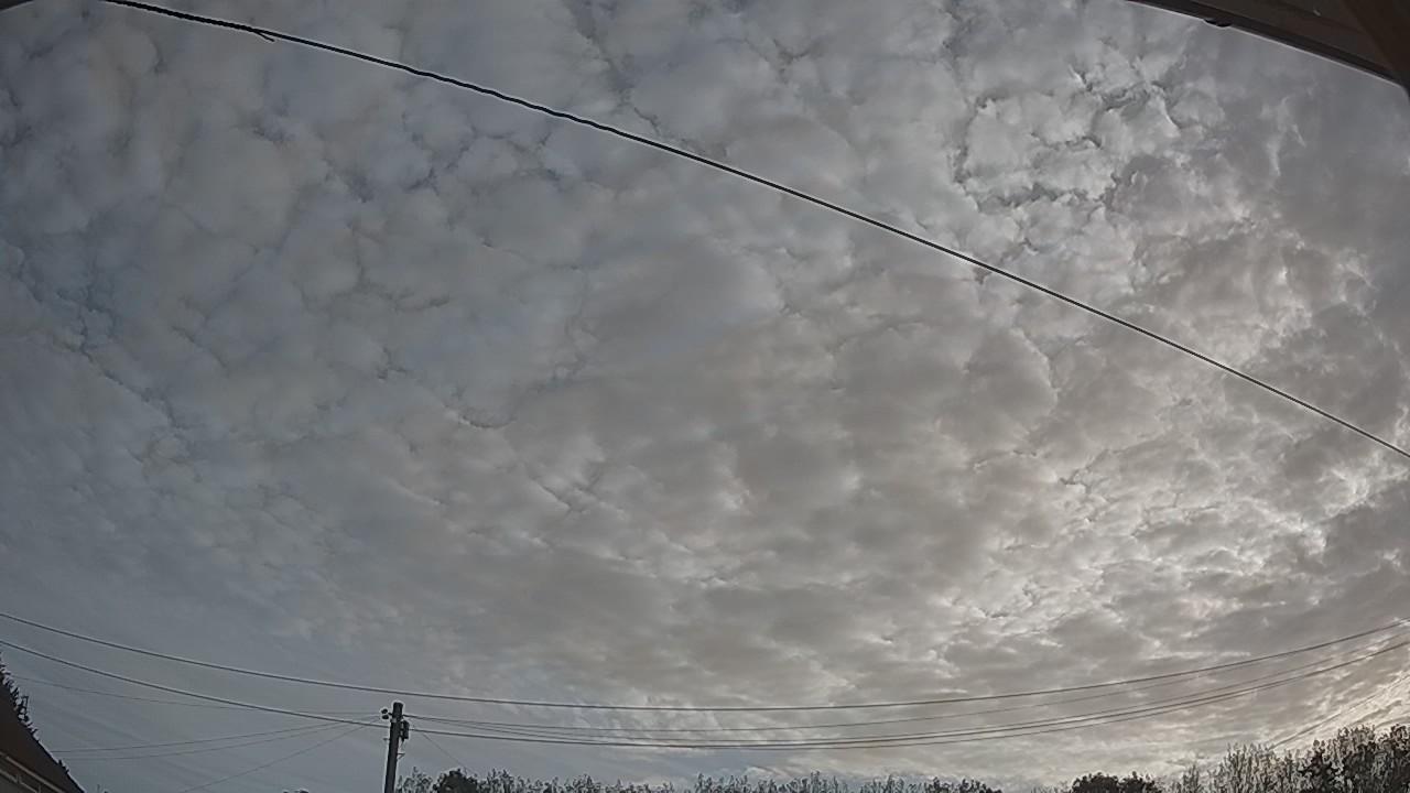 20260825_063555_cam2.jpg