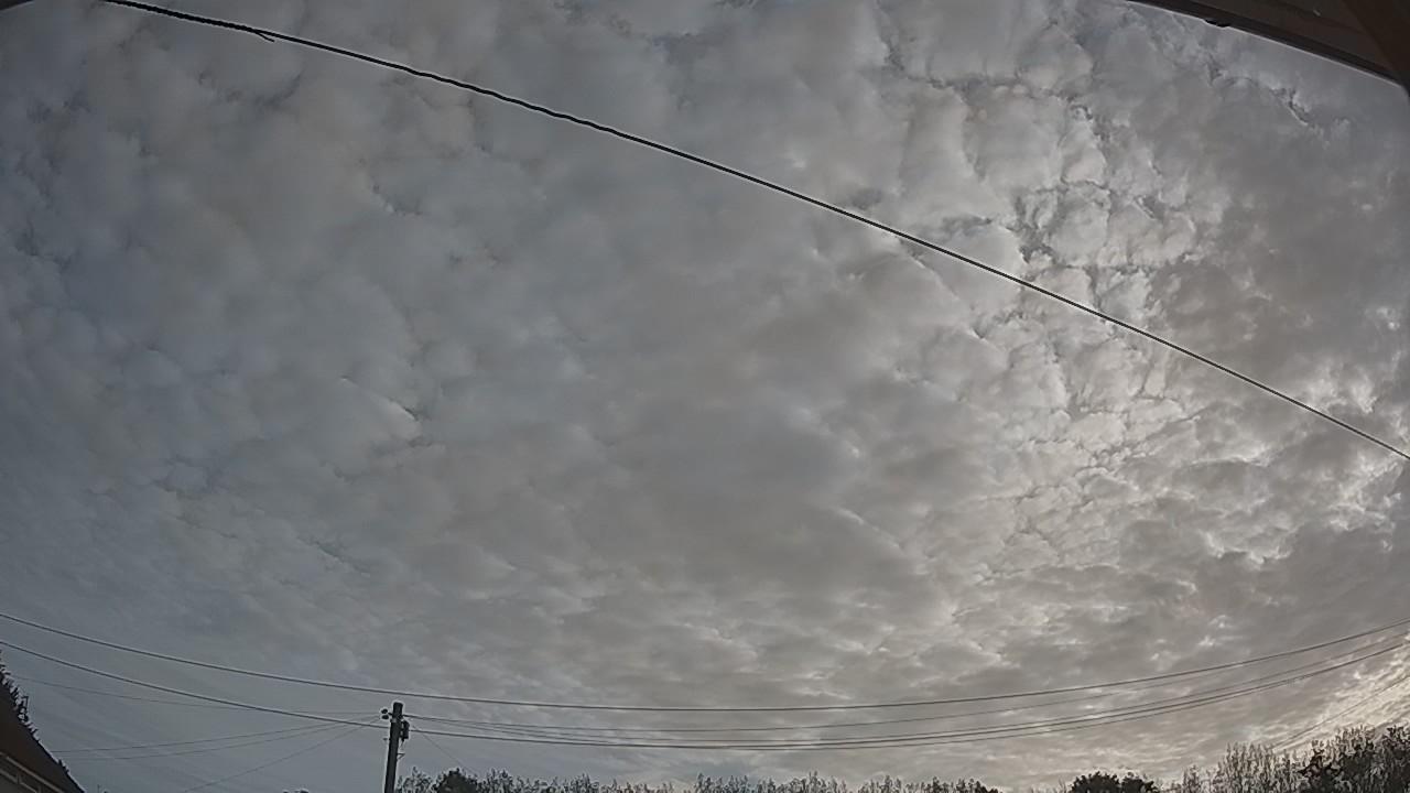 20260825_063954_cam2.jpg