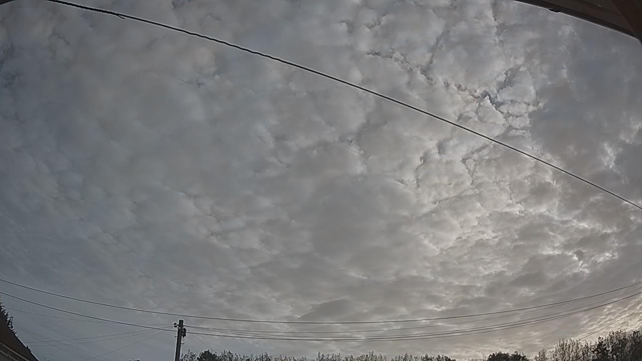 20260825_064353_cam2.jpg