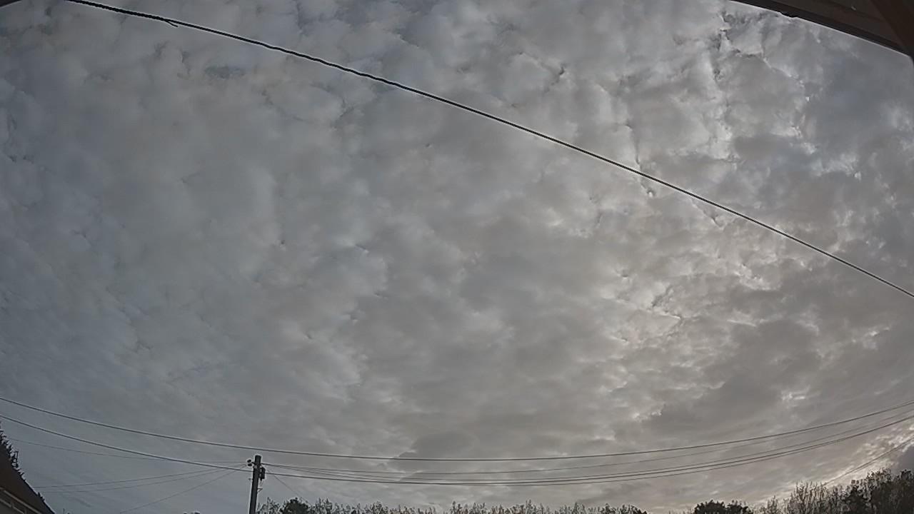 20260825_064753_cam2.jpg