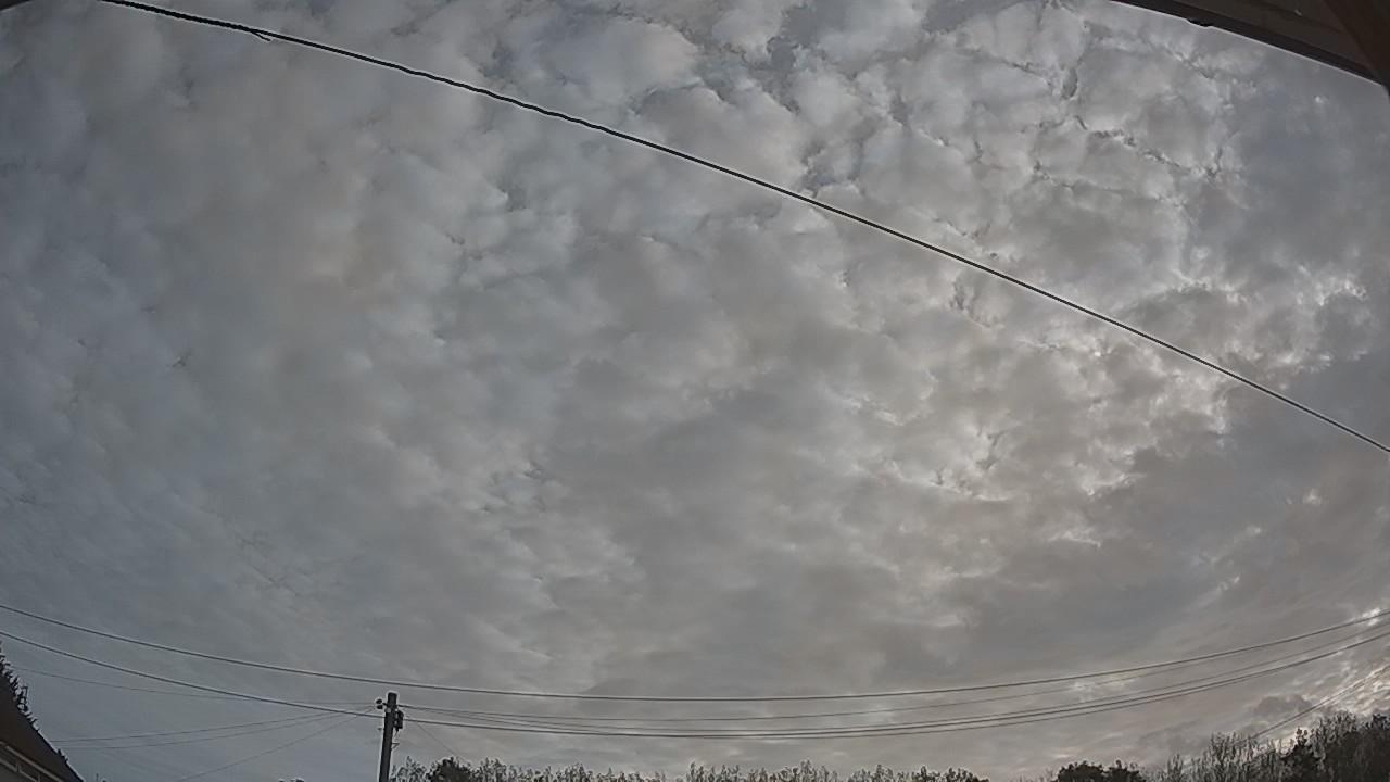 20260825_065153_cam2.jpg