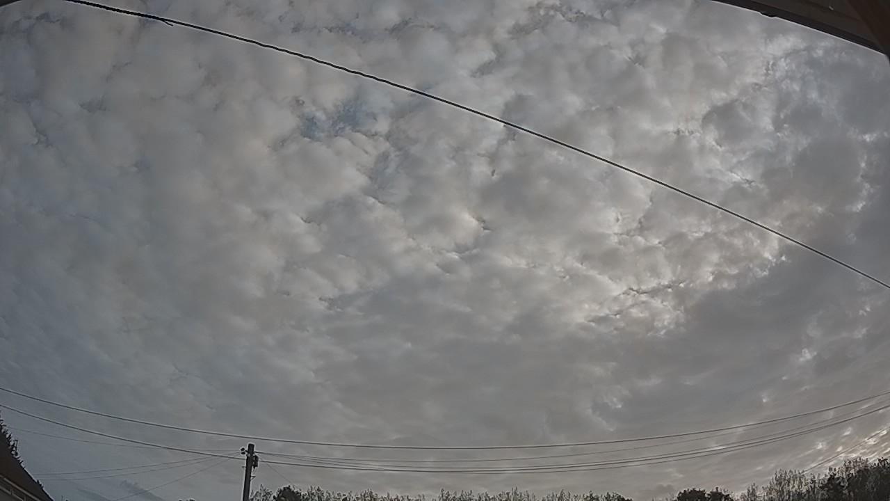 20260825_065553_cam2.jpg