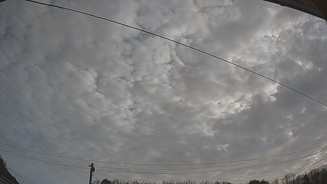 20260825_065954_cam2.jpg