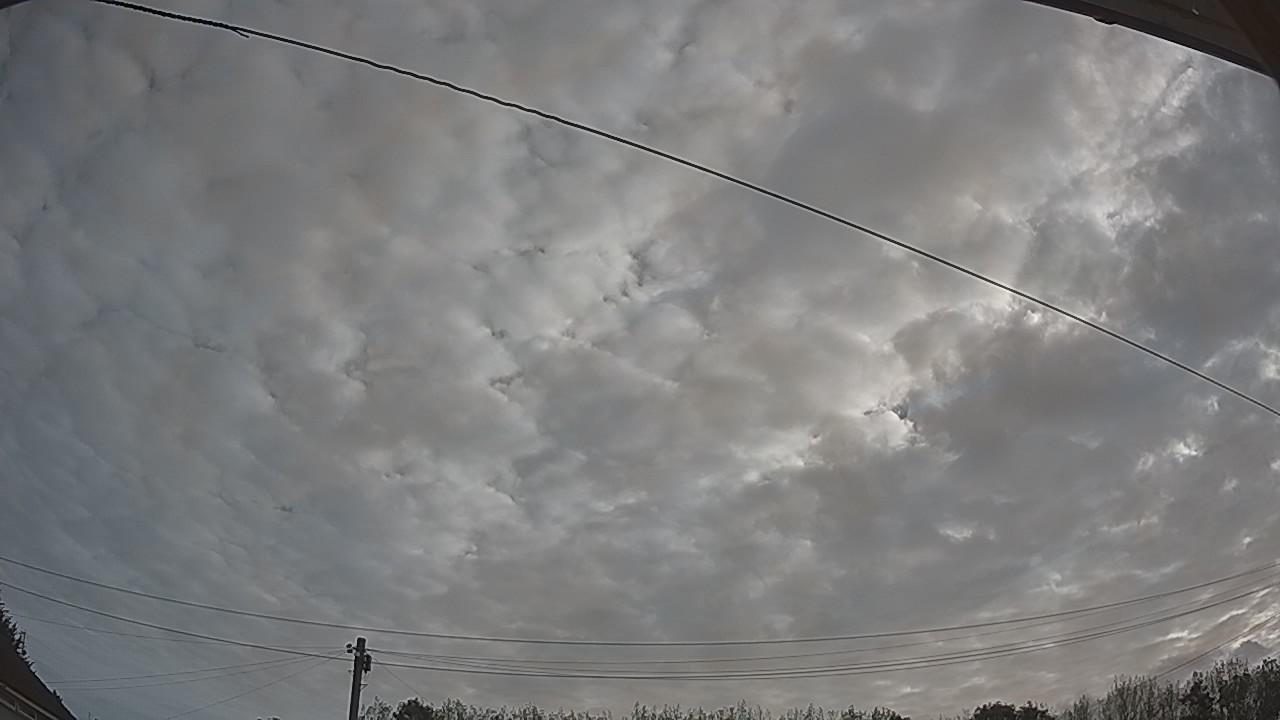 20260825_070355_cam2.jpg