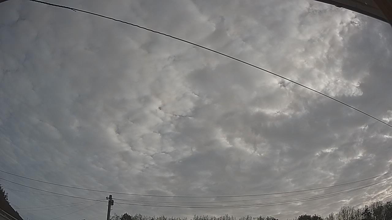 20260825_070755_cam2.jpg