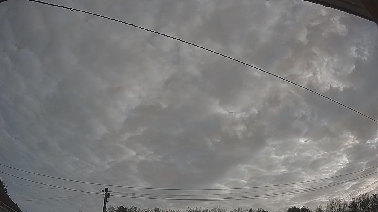 20260825_071555_cam2.jpg