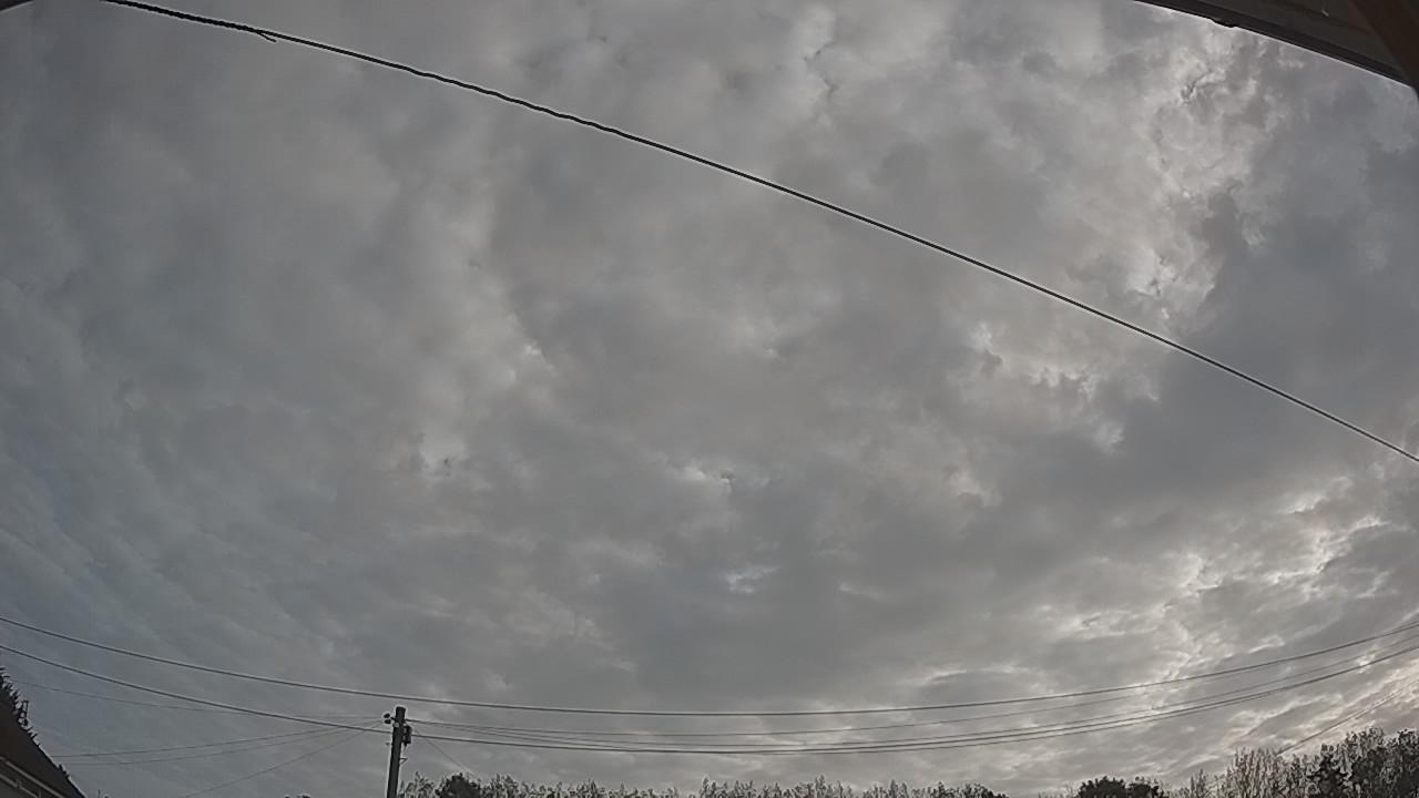 20260825_071955_cam2.jpg