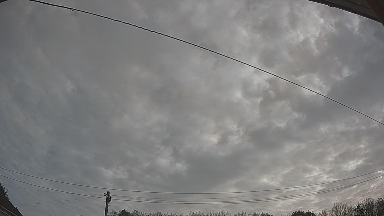 20260825_073146_cam2.jpg