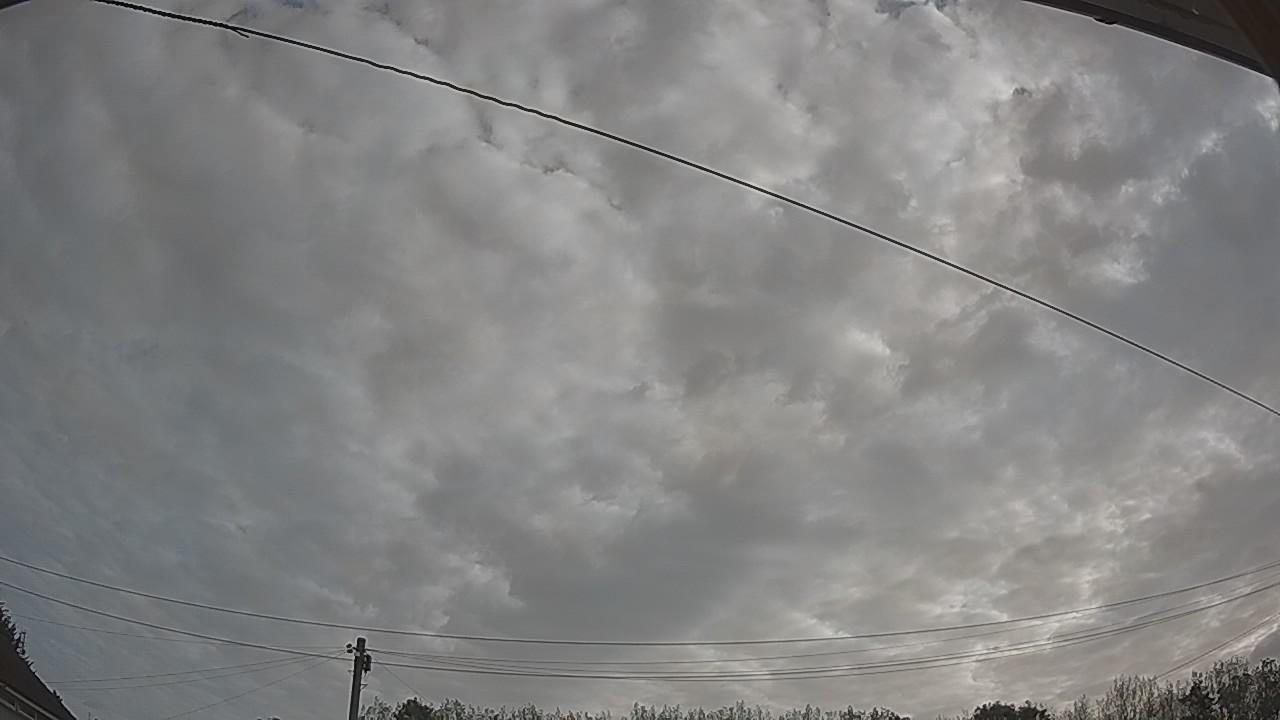 20260825_073538_cam2.jpg