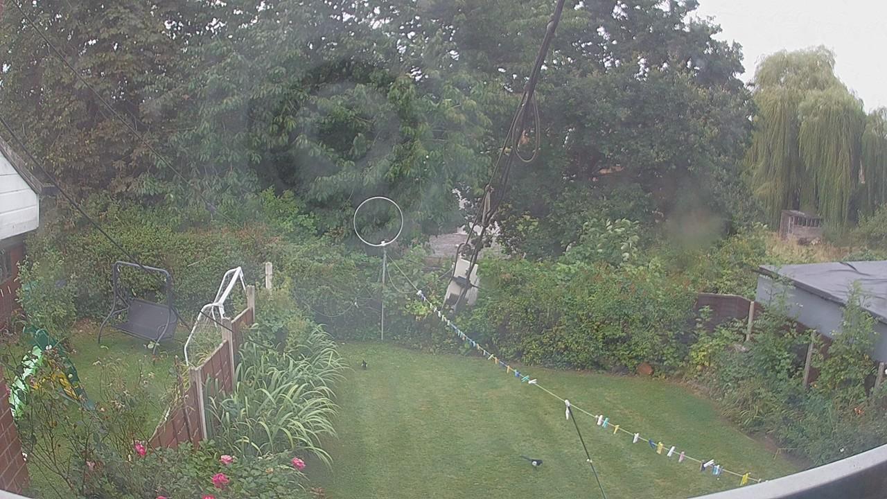20260825_073928_cam1.jpg