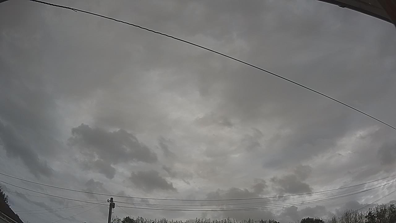 20260825_091613_cam2.jpg