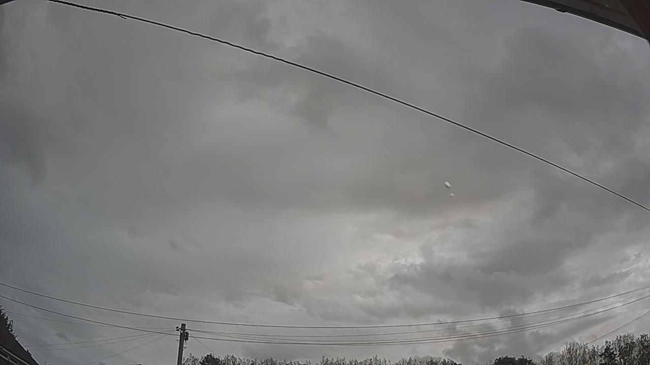 20260825_094446_cam2.jpg
