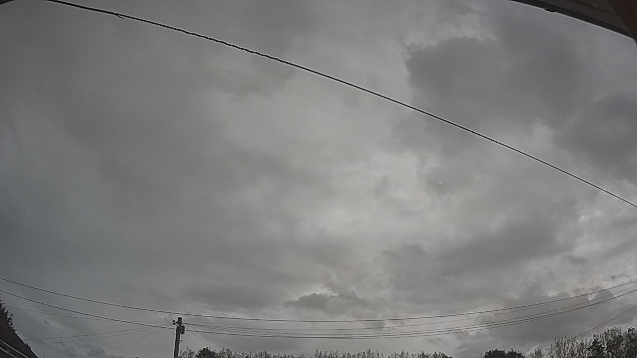 20260825_095304_cam2.jpg