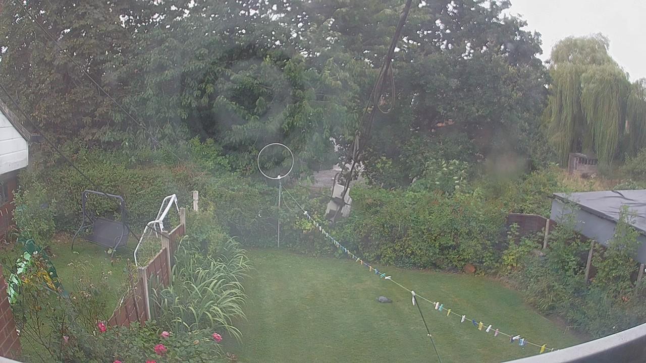 20260825_100113_cam1.jpg