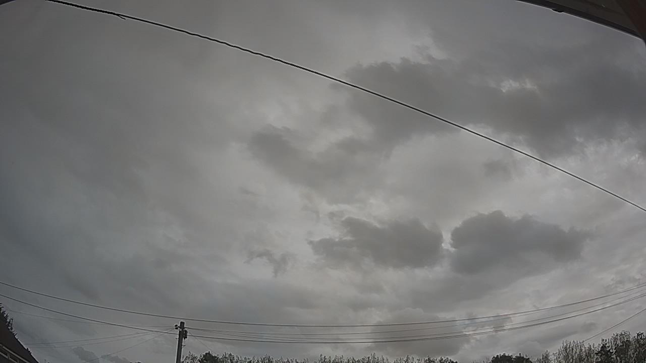 20260825_100114_cam2.jpg