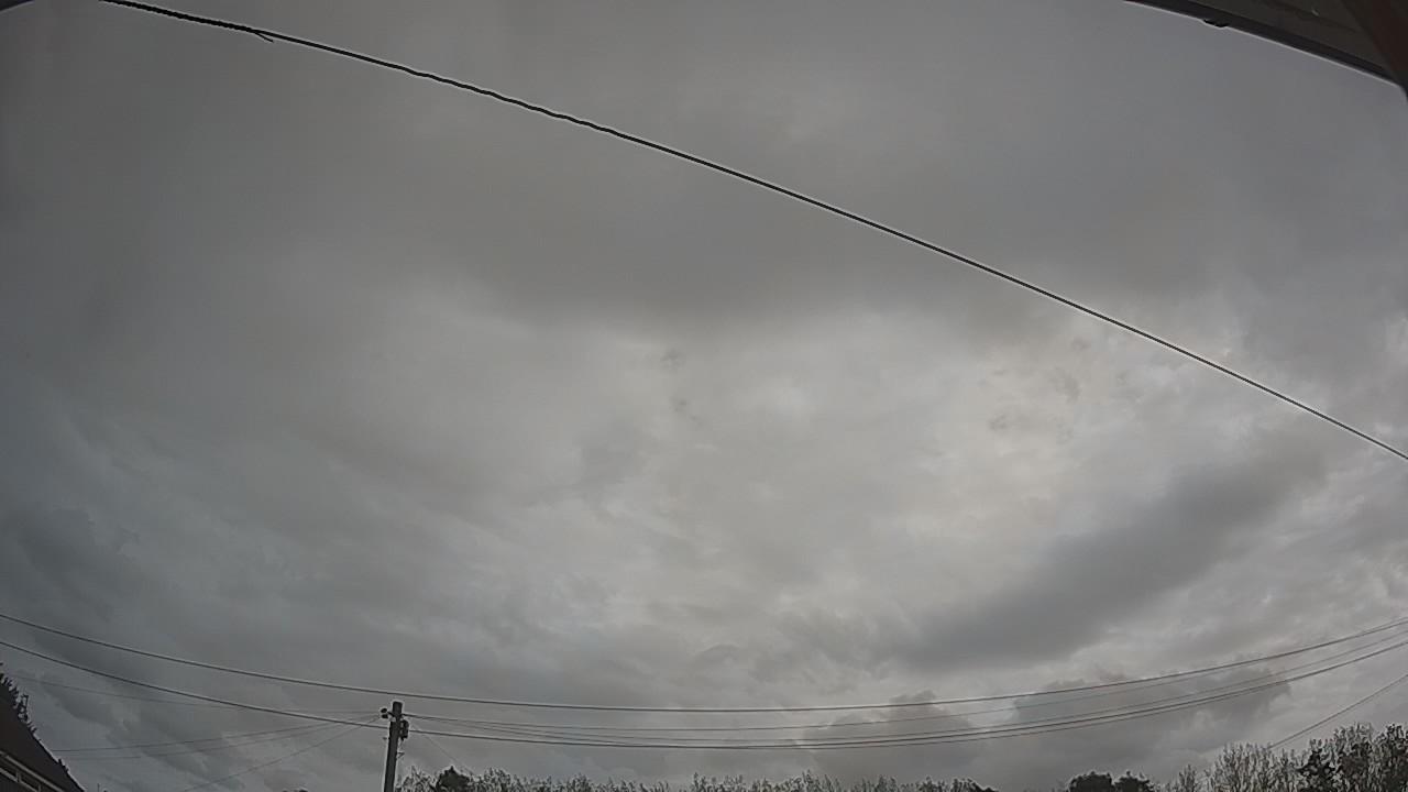 20260825_100514_cam2.jpg