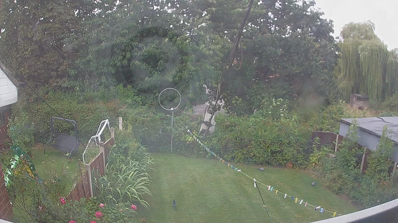 20260825_100913_cam1.jpg