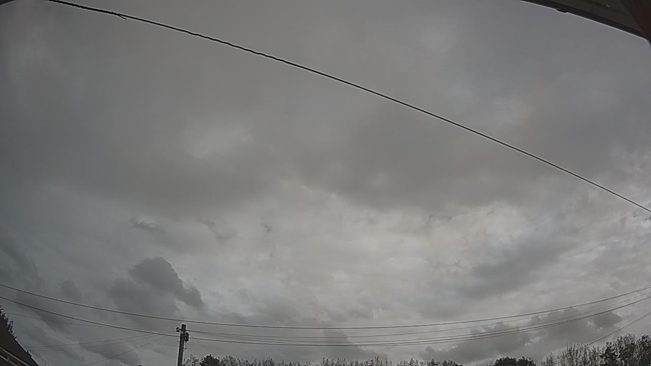 20260825_100914_cam2.jpg