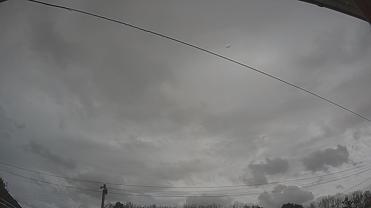 20260825_102516_cam2.jpg