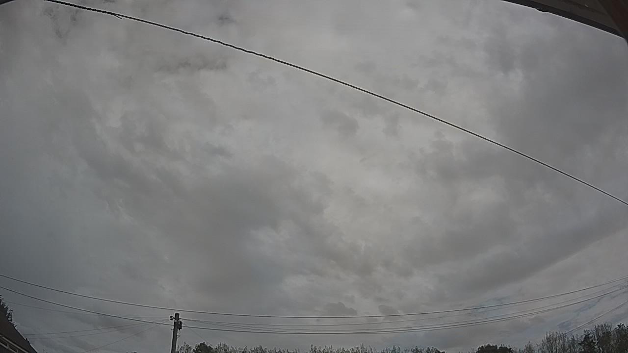 20260825_105849_cam2.jpg