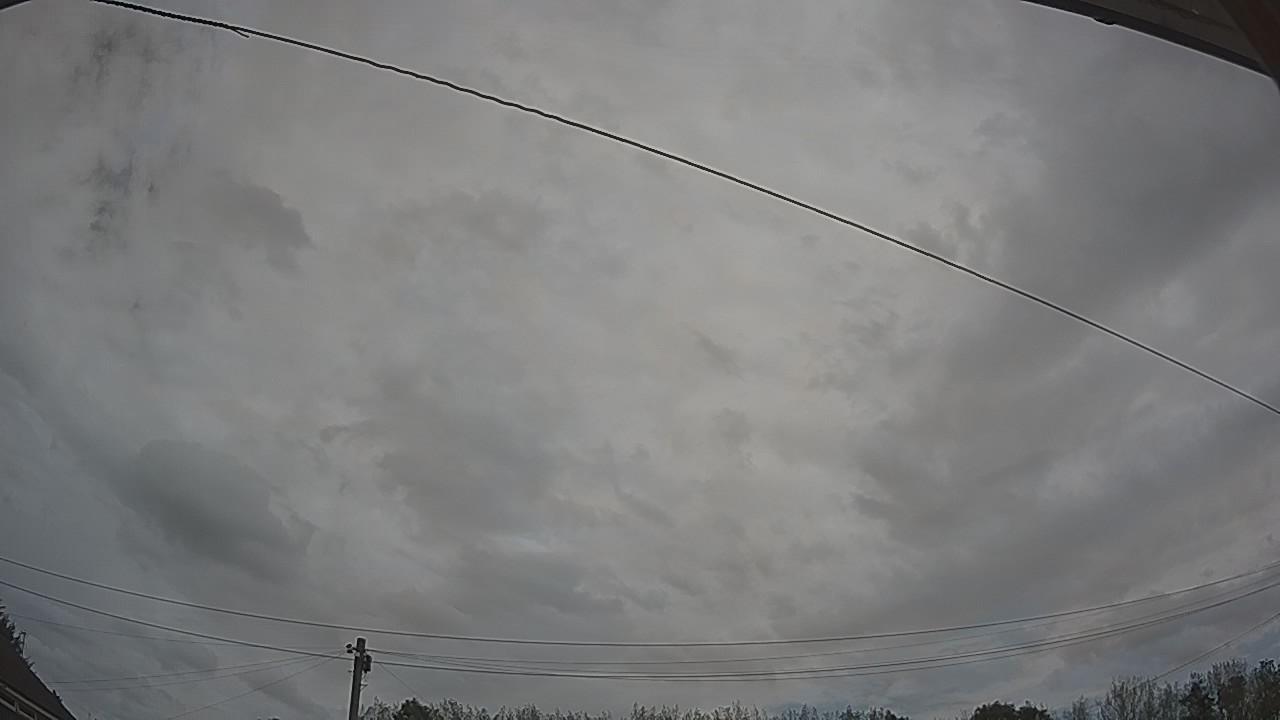 20260825_110705_cam2.jpg