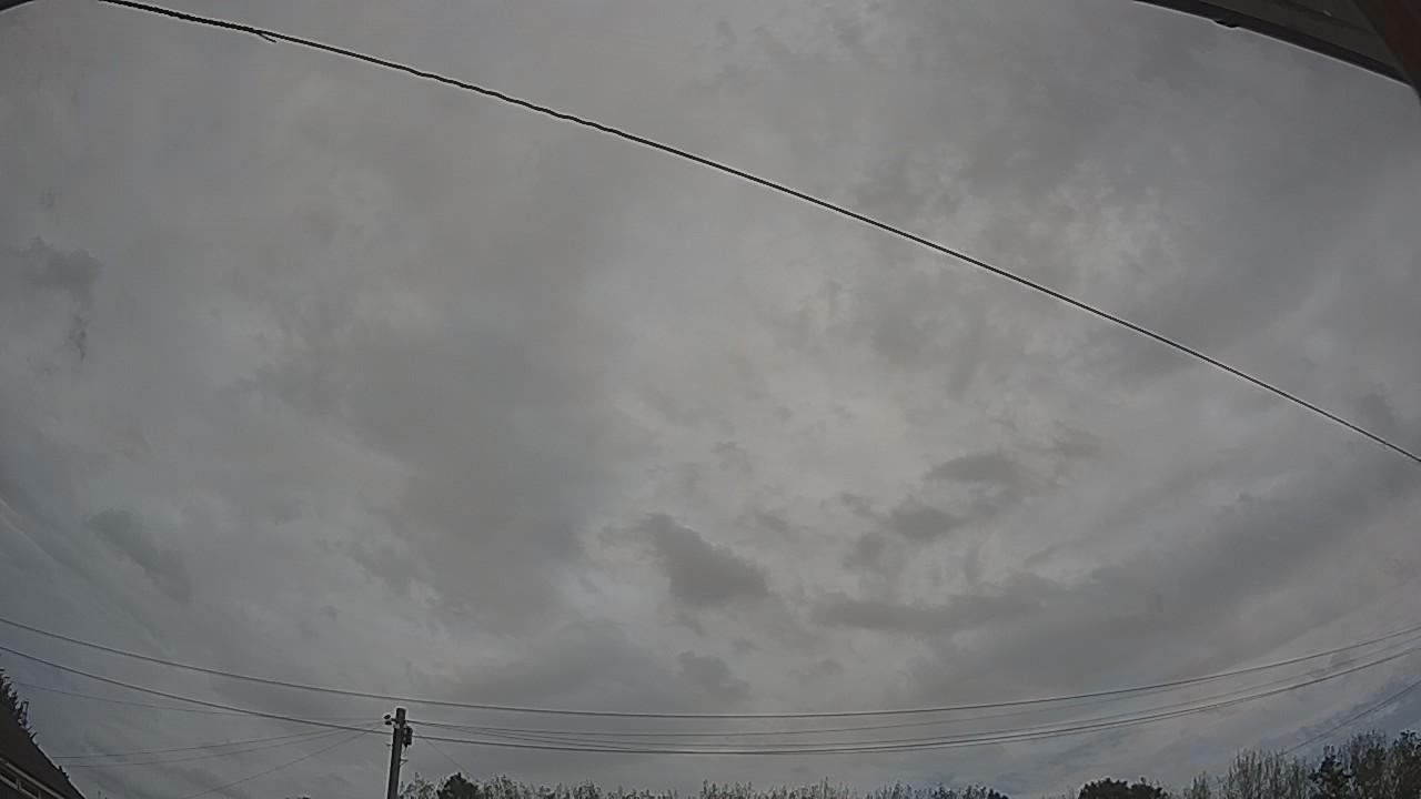 20260825_111114_cam2.jpg
