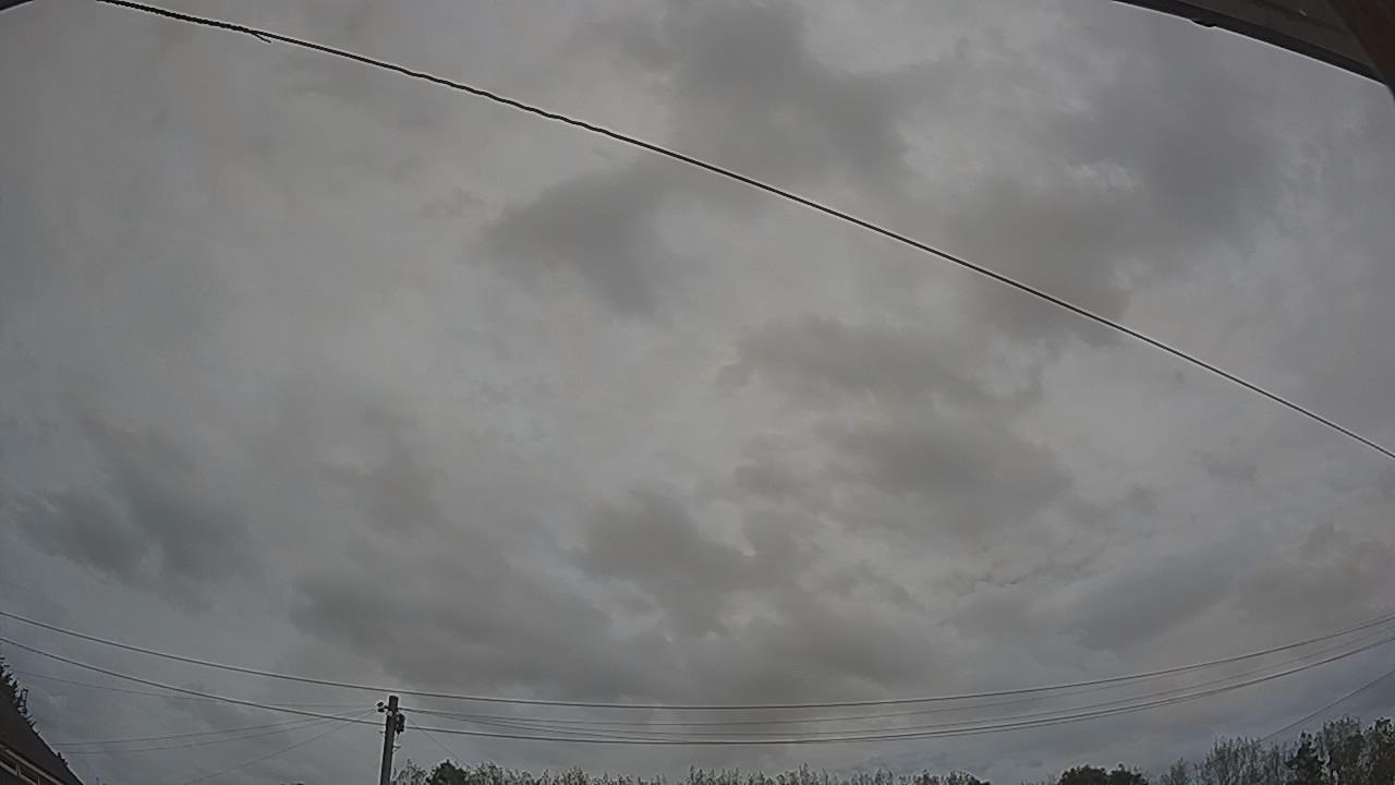 20260825_113206_cam2.jpg