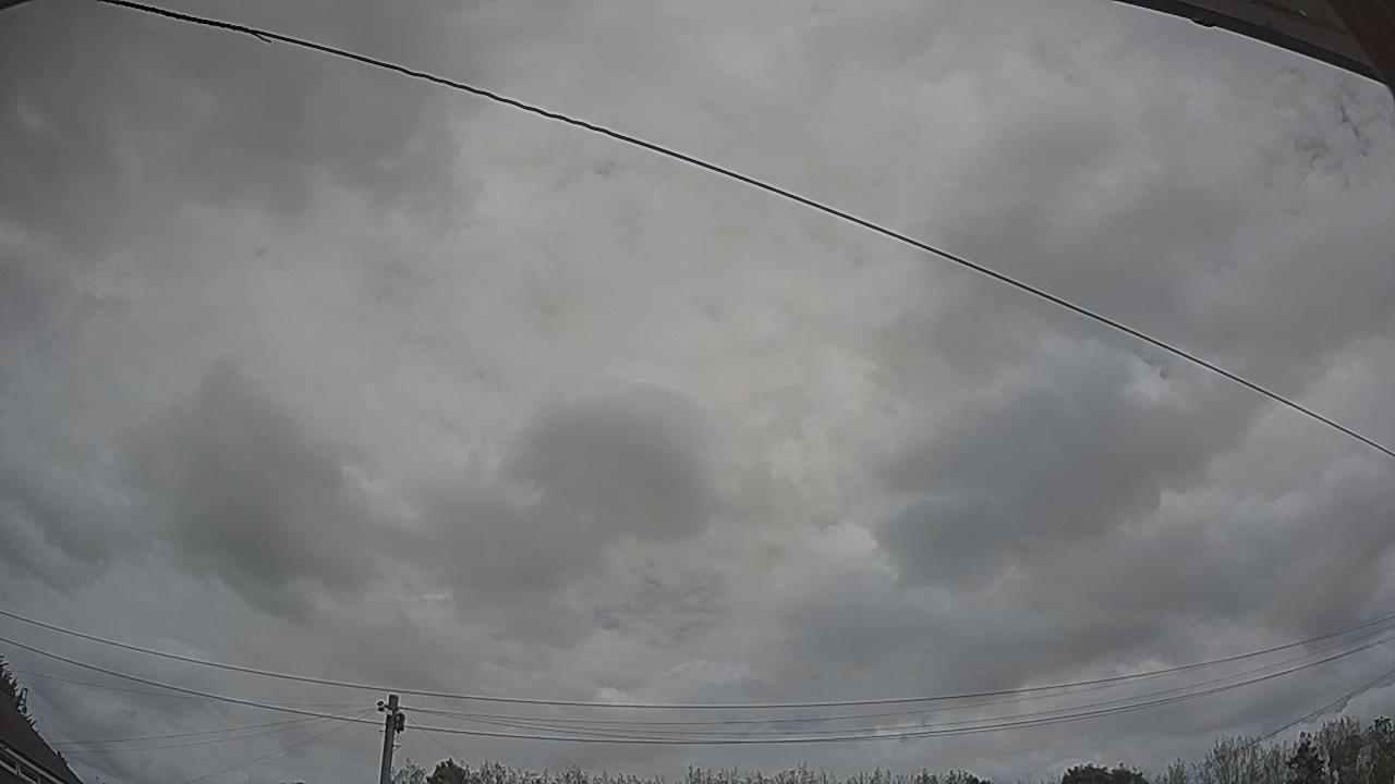 20260825_120204_cam2.jpg
