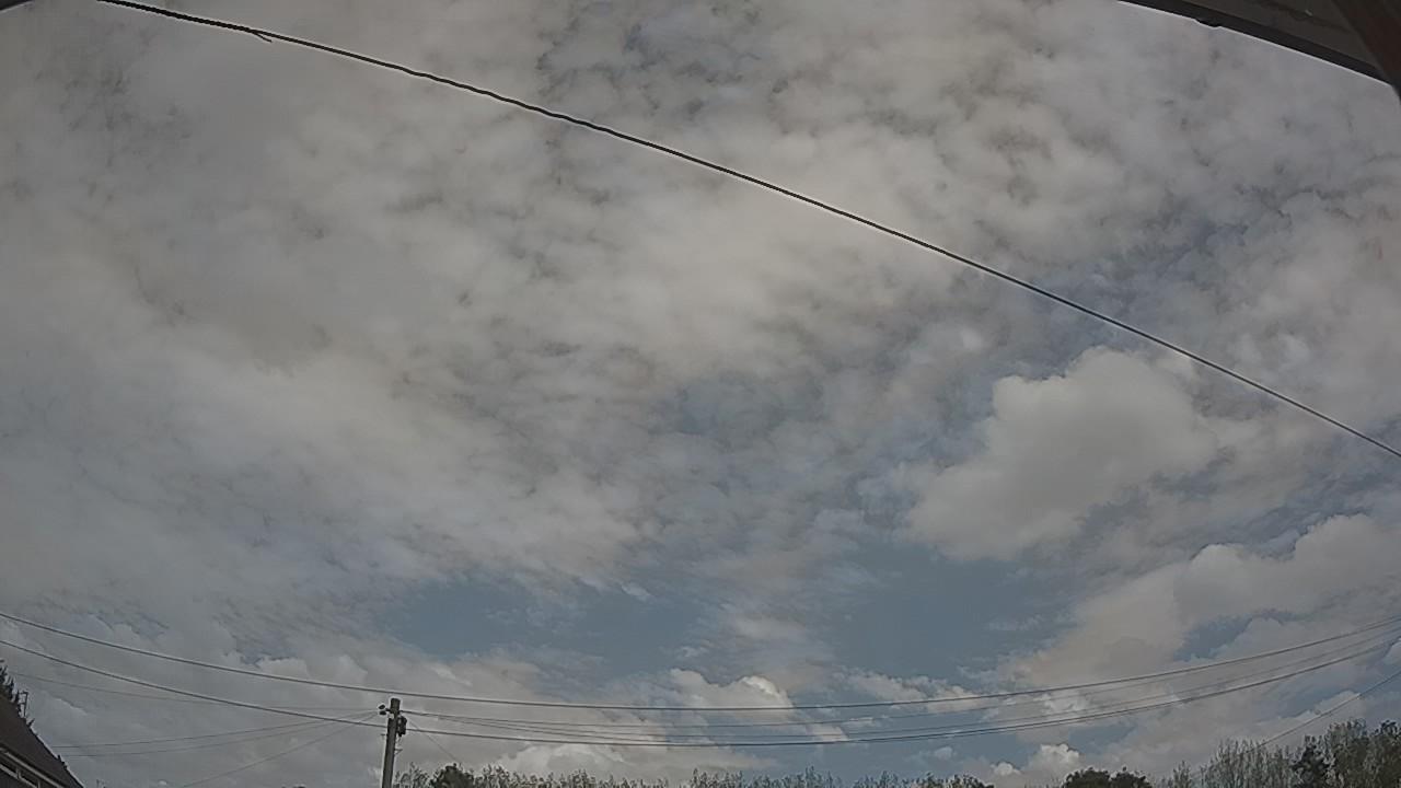 20260825_125058_cam2.jpg