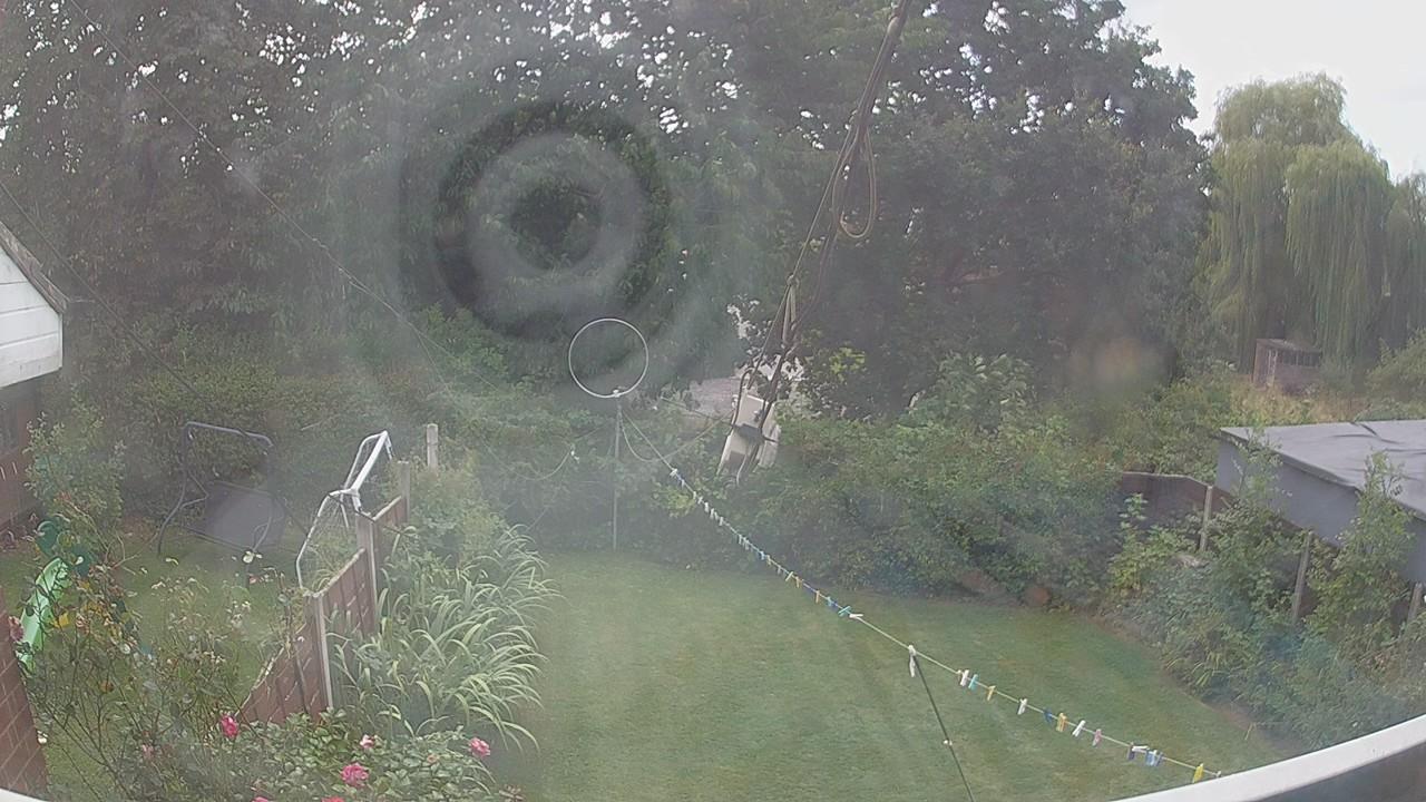 20260825_130631_cam1.jpg