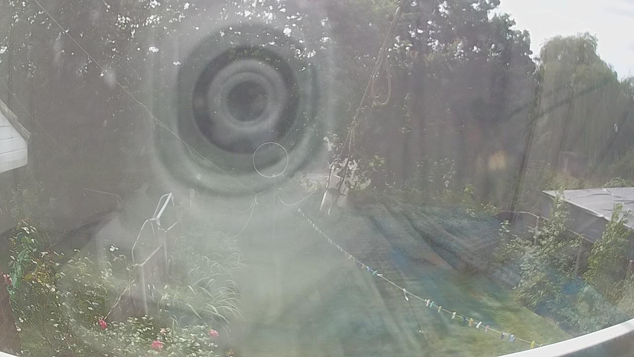 20260825_133653_cam1.jpg