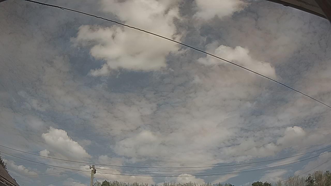 20260825_133654_cam2.jpg