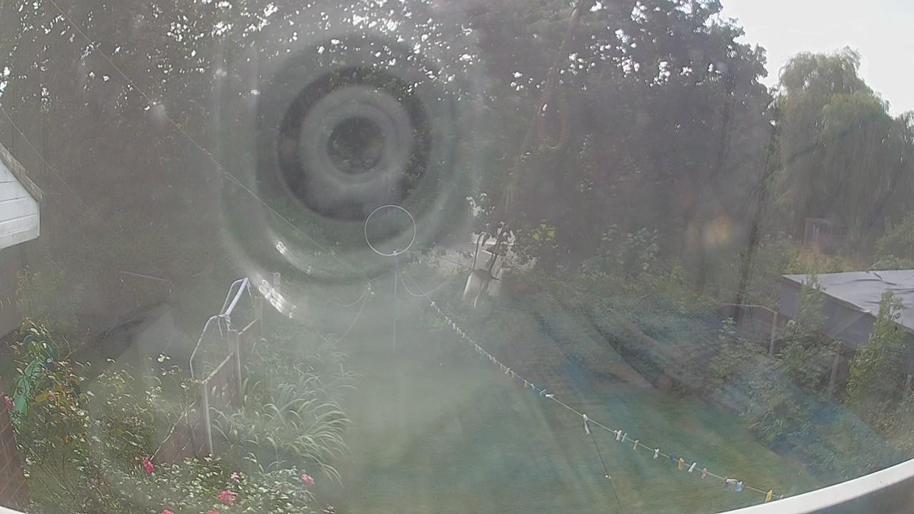 20260825_135139_cam1.jpg
