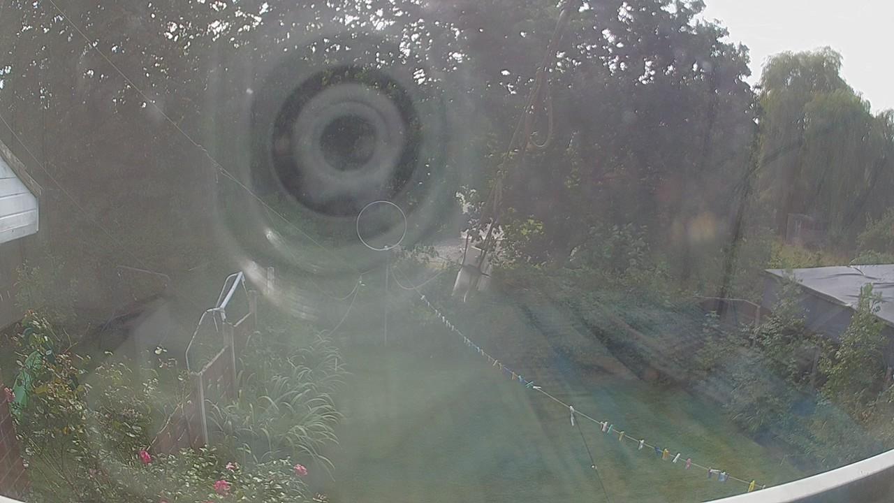 20260825_140243_cam1.jpg