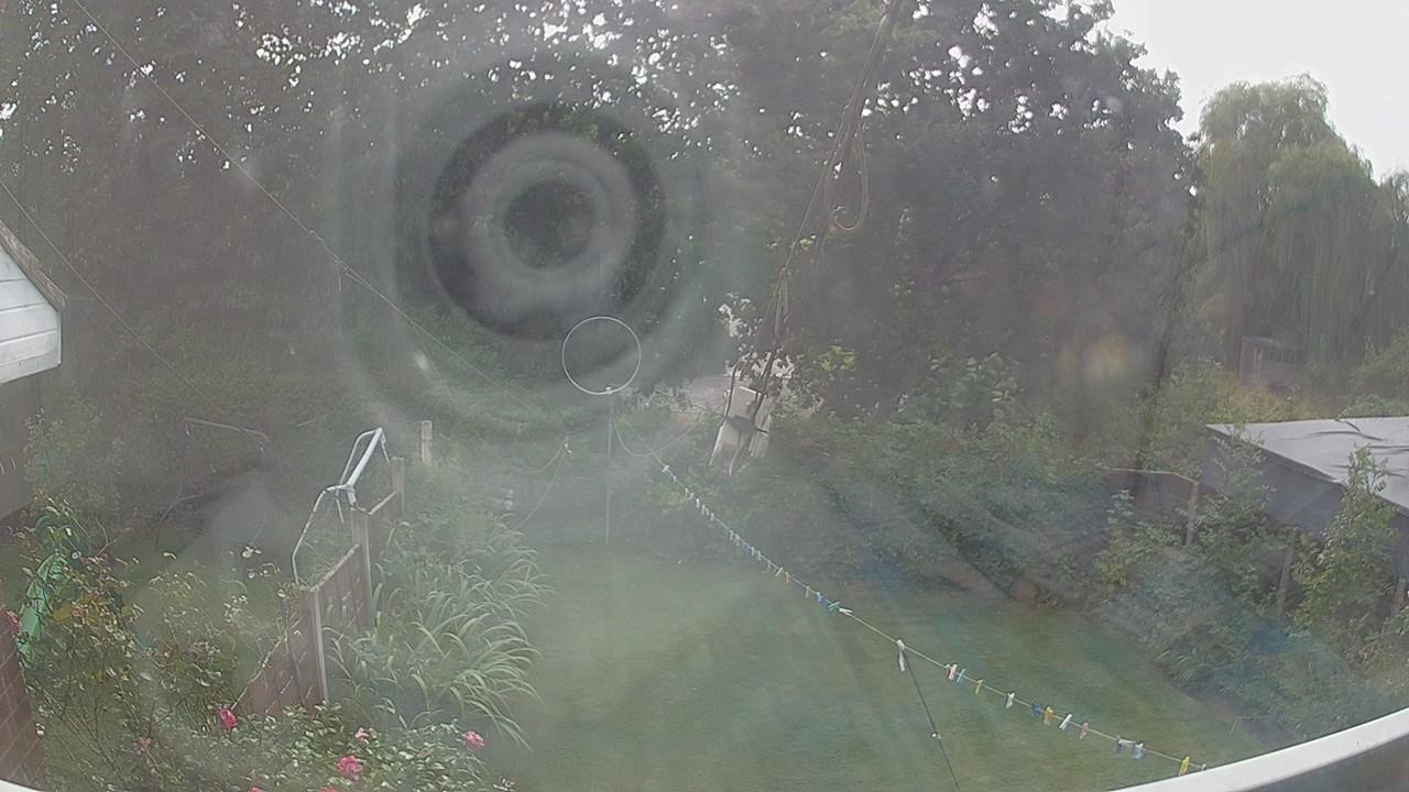 20260825_141730_cam1.jpg