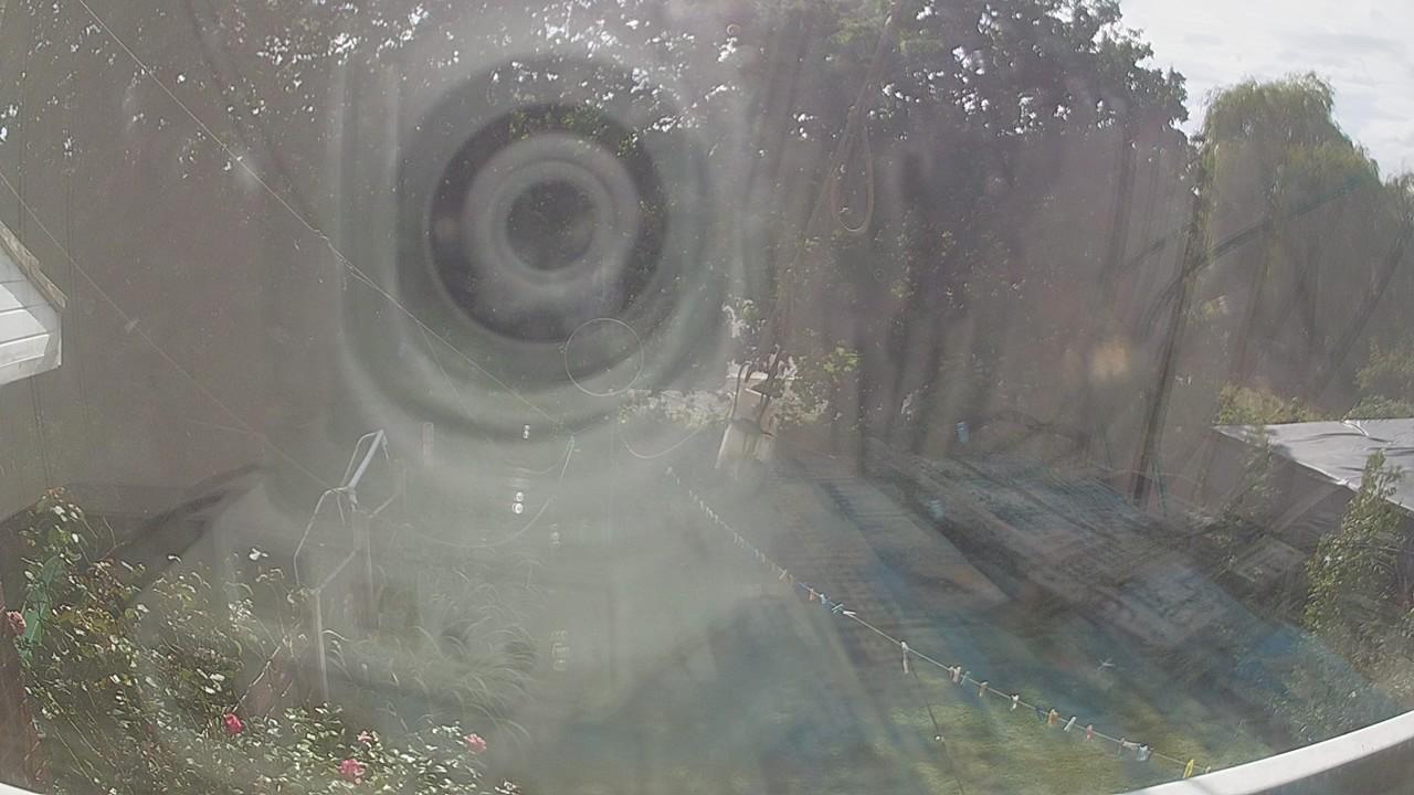 20260825_142112_cam1.jpg