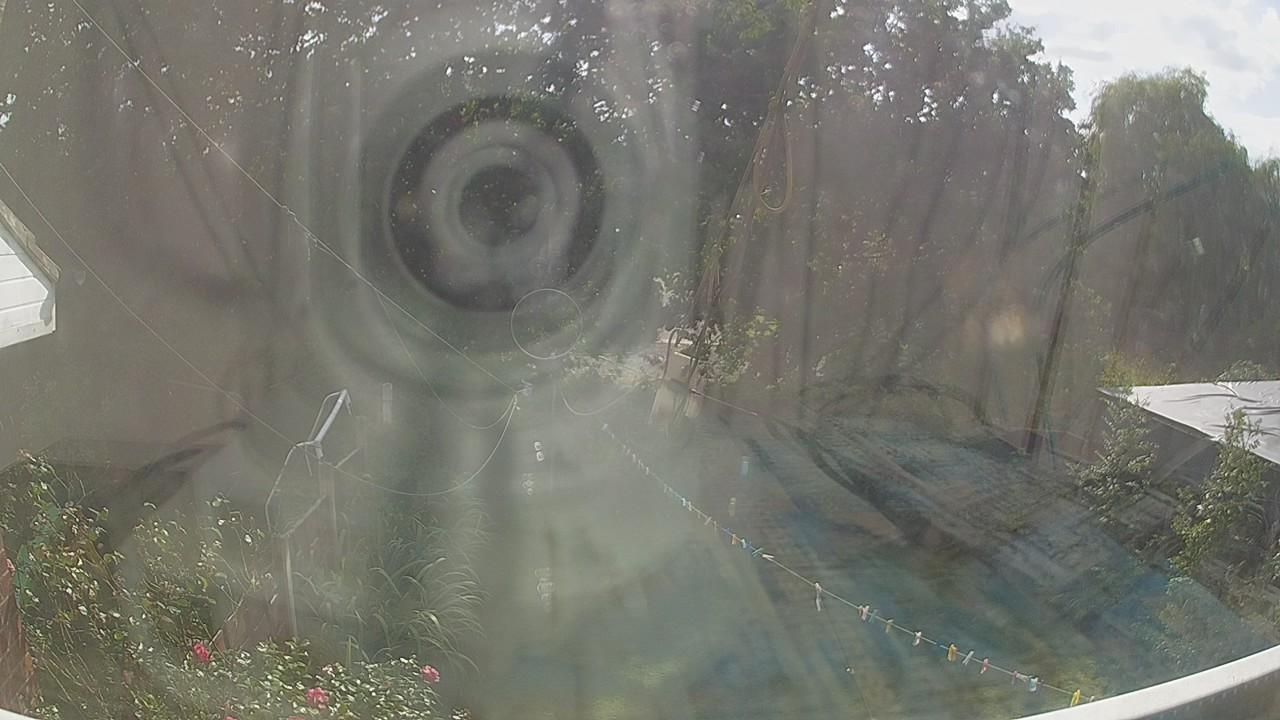 20260825_150845_cam1.jpg
