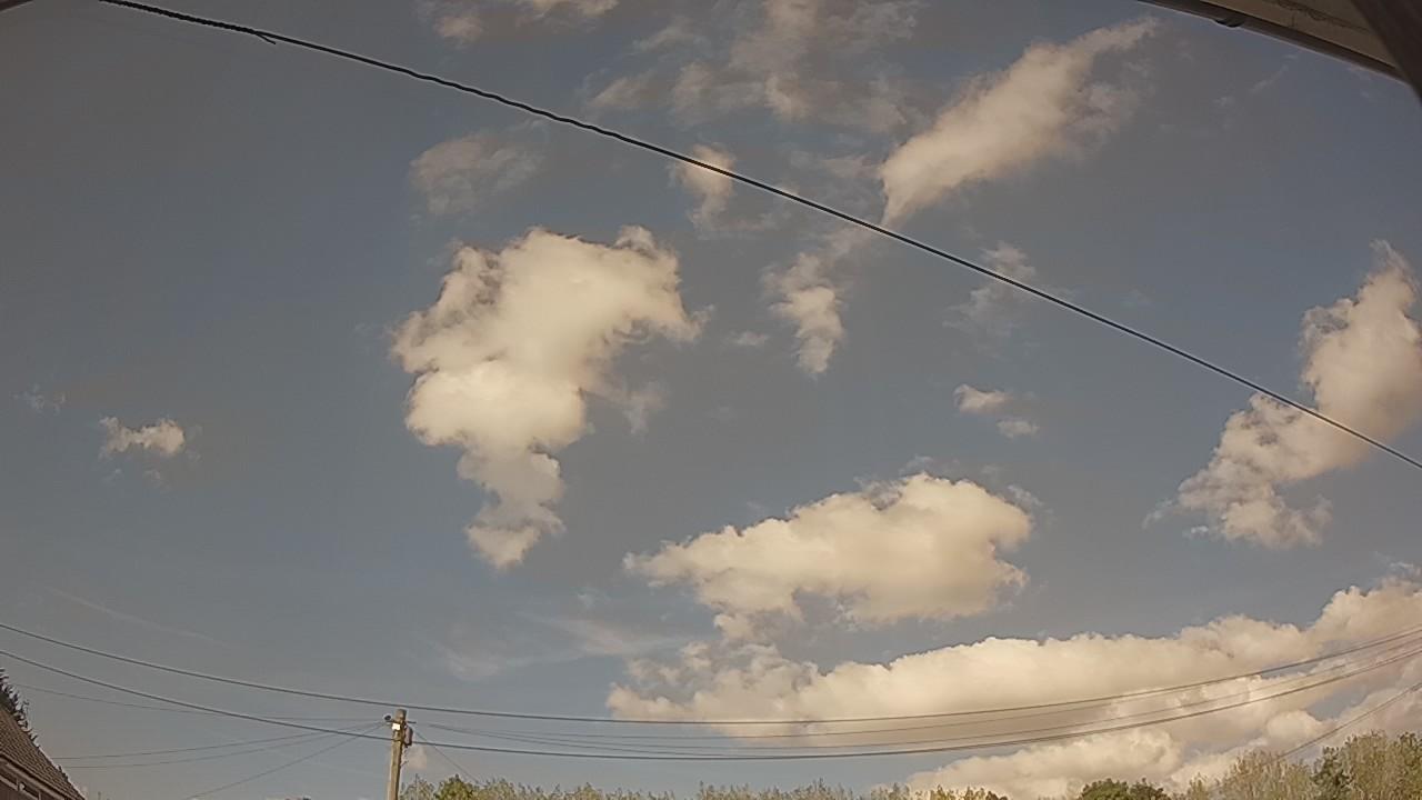 20260825_155201_cam2.jpg