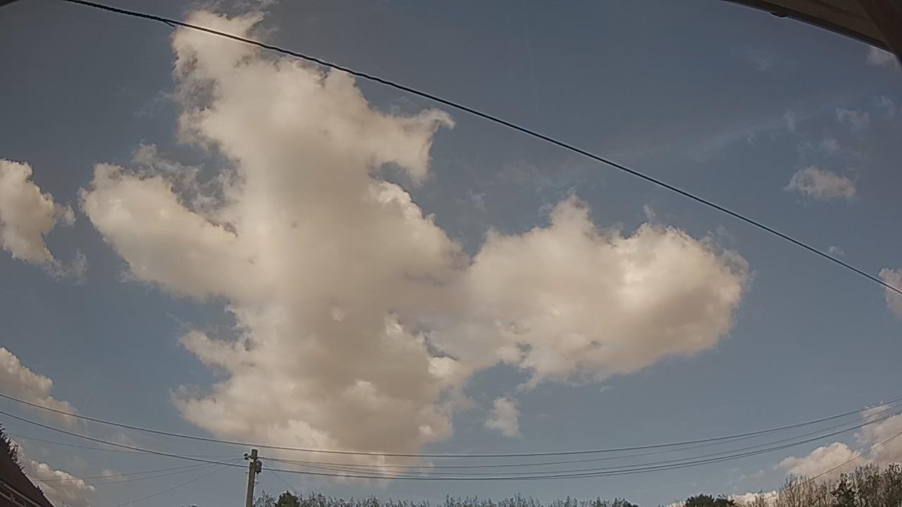 20260825_160307_cam2.jpg