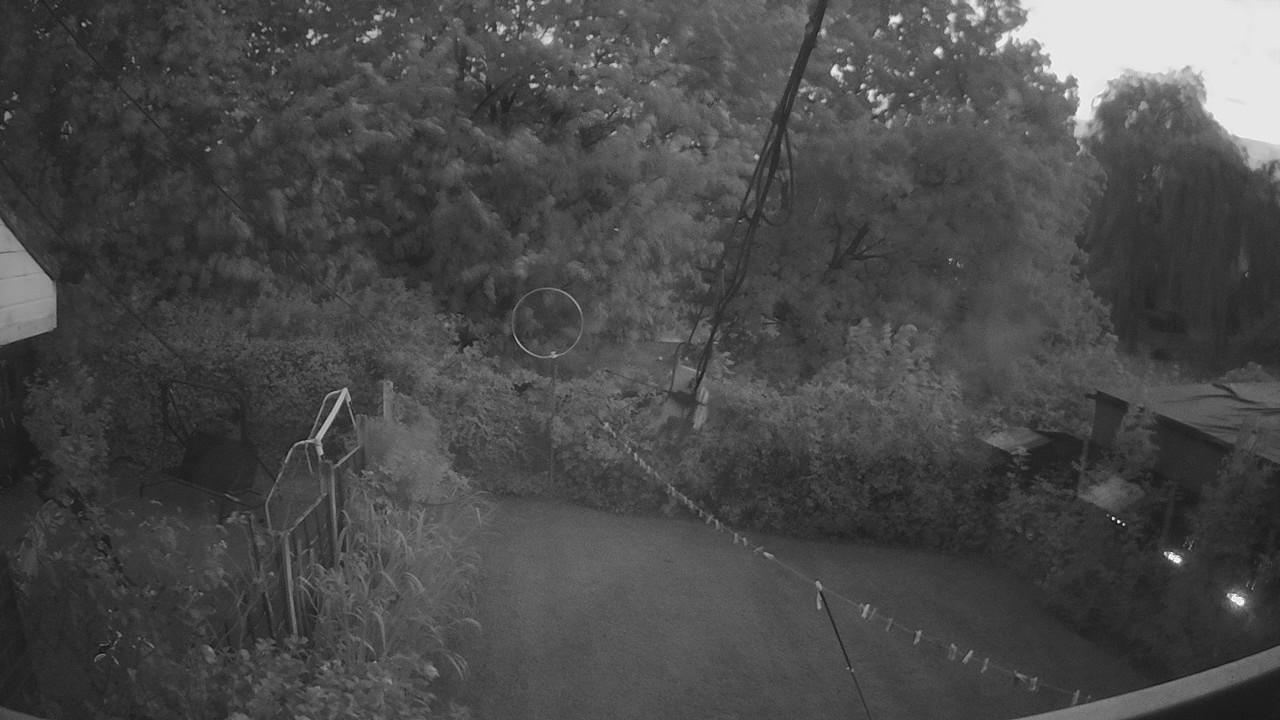 20260825_194226_cam1.jpg