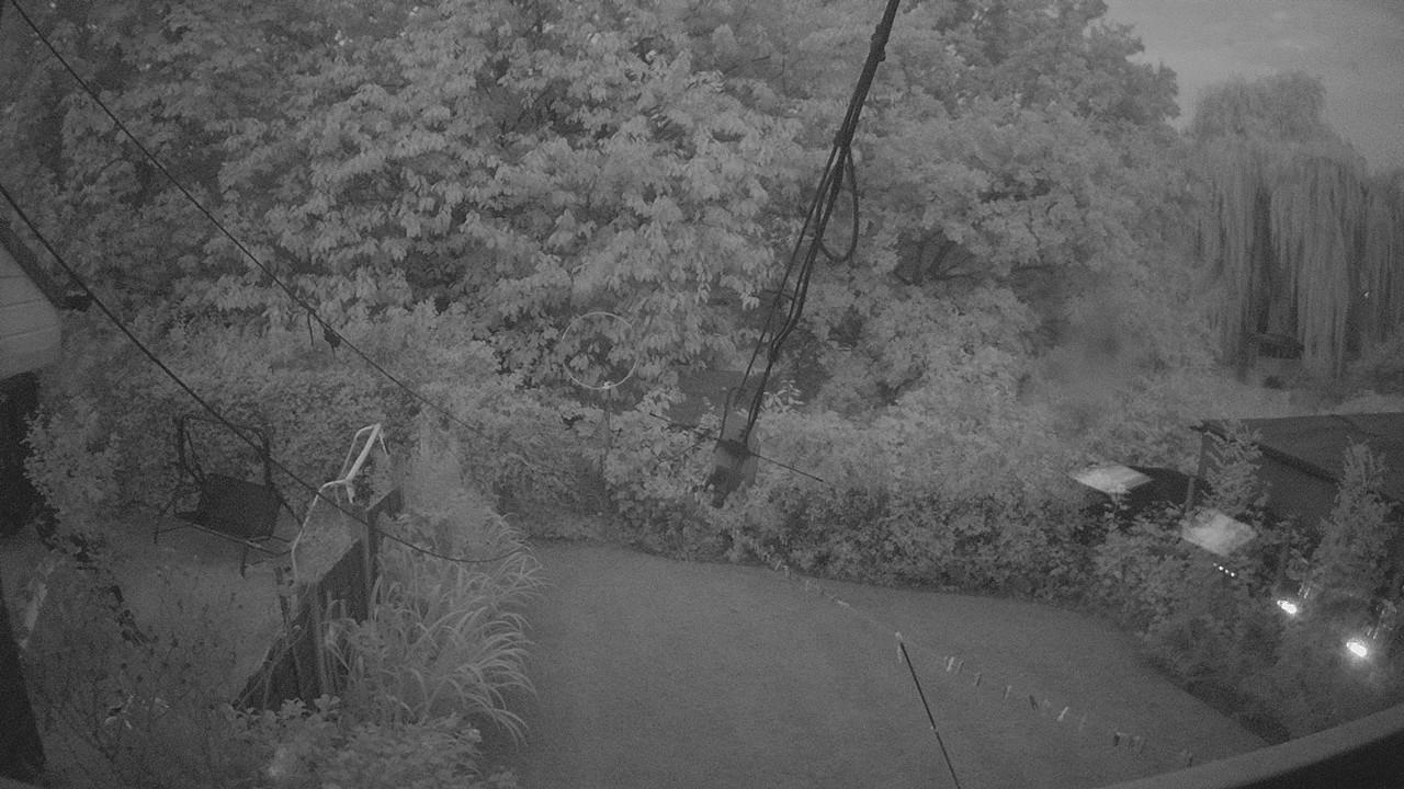 20260826_043056_cam1.jpg