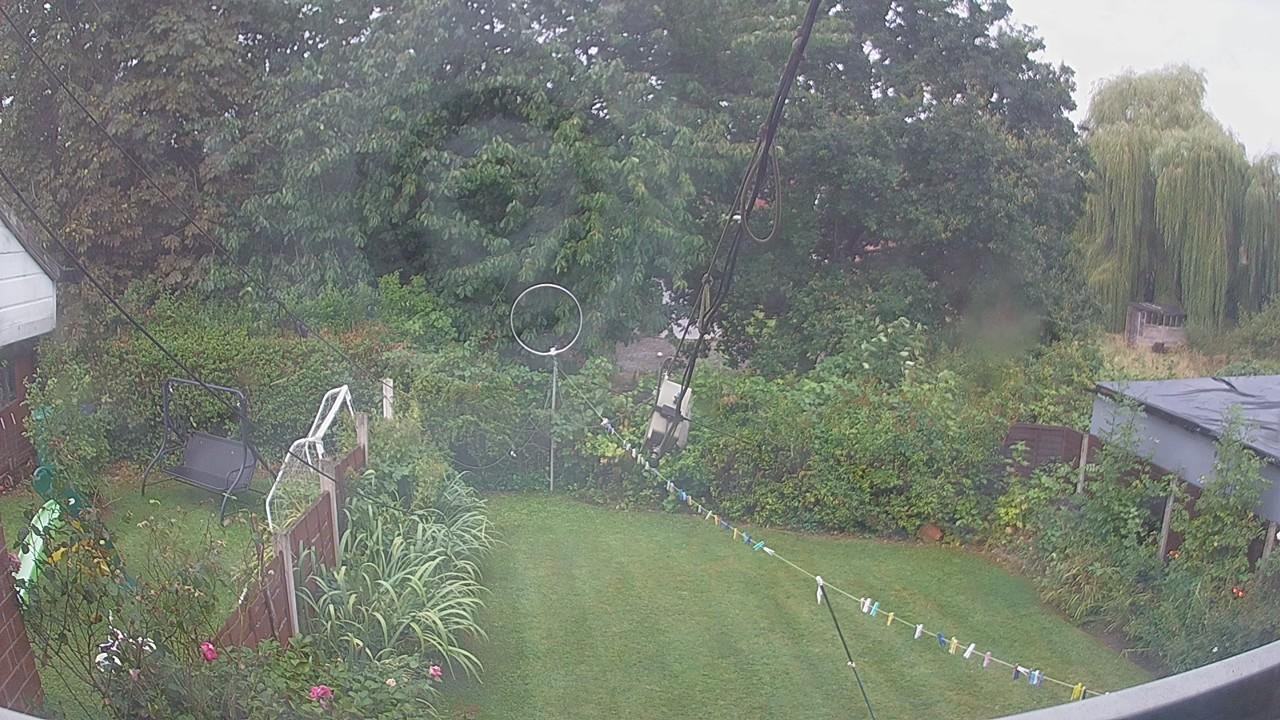 20260826_081203_cam1.jpg