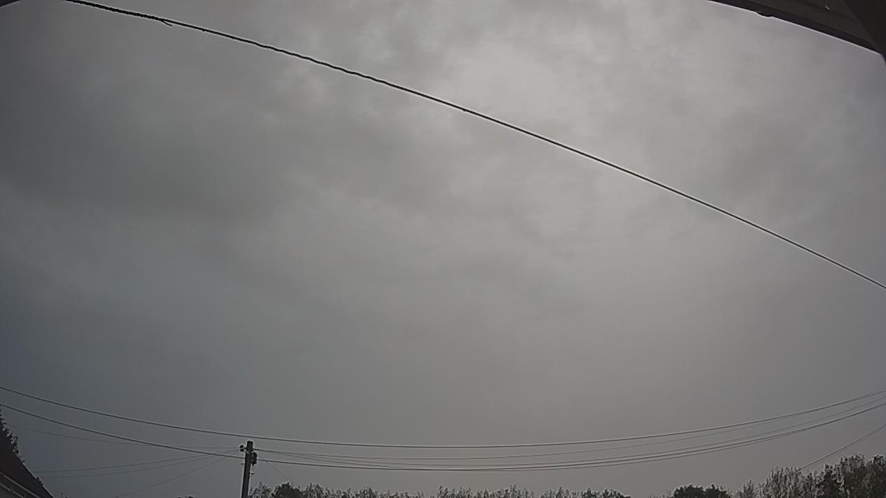 20260826_081204_cam2.jpg
